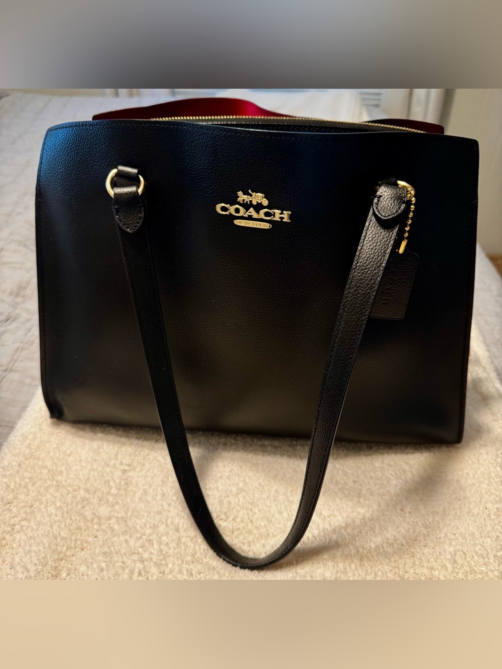 Coach Tatum Carry-all (C4077)